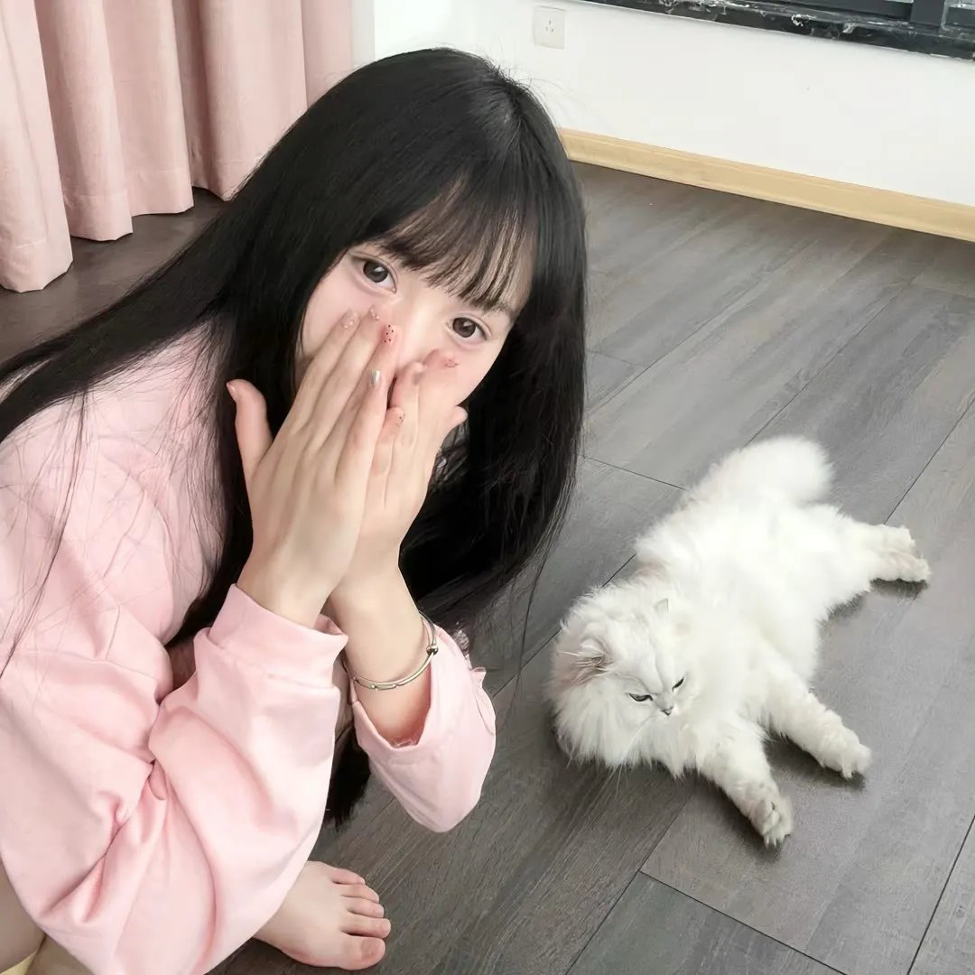 黑带精英2